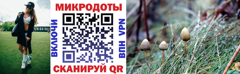 где найти   Лагань  Галлюциногенные грибы Magic Shrooms 